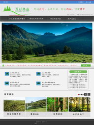 林业开发网站页面设计与开发全解析